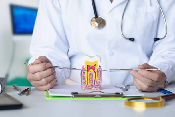 Best Walk-In Emergency Dentist in East End, AR